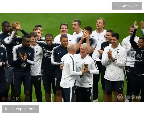 格列兹曼与萨内：前插频率差异背后的体系依赖机制